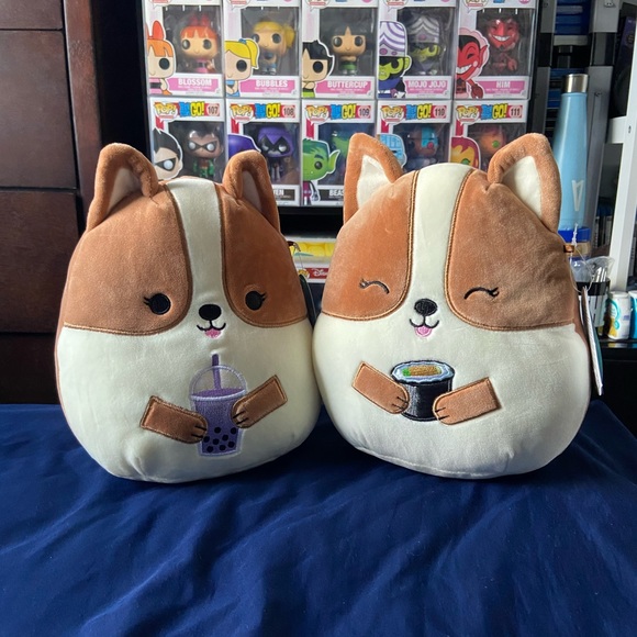 Other - Regina the Corgi 8” Squishmallow Bundle